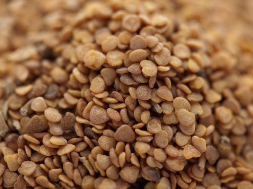 Ashawagandha-benefits